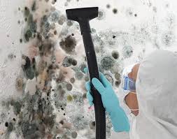  Macopin, NJ Mold Removal Services Pros